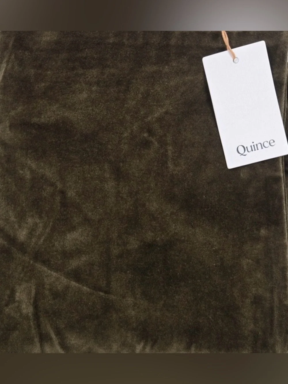NWT Quince Classic Cotton Velvet Pillow Cover, 22 X 22 (Olive)